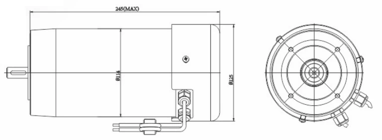 114mm Shaft IP66 PMDC Motor